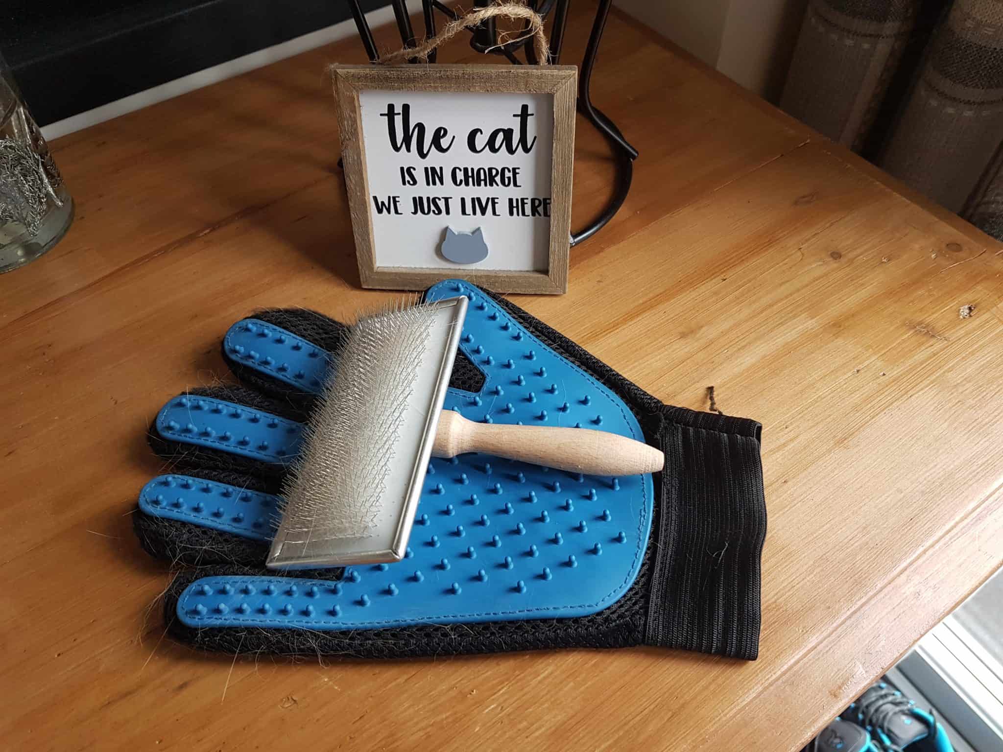 The 5 Best Cat Grooming Brushes In The UK Brit Buyer