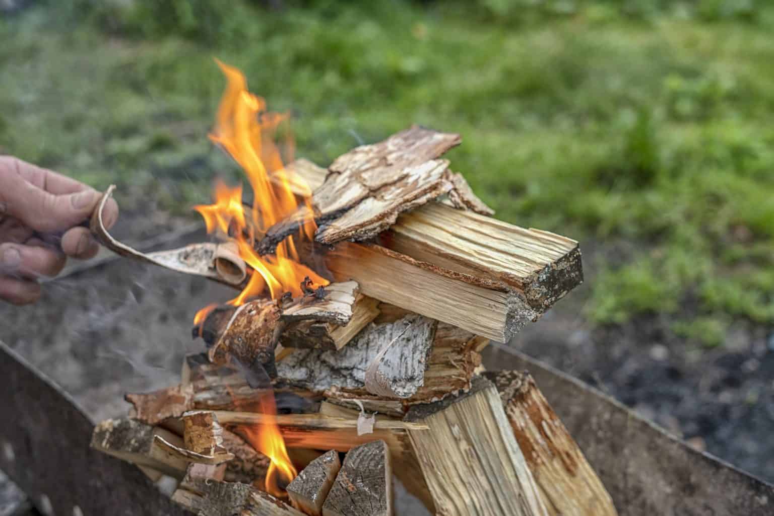 What Are You Allowed To Burn in Your Garden in the UK? Wood, Paper and